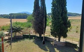 Campo del Gatto